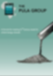 Pula Investment Brochure Photo.png
